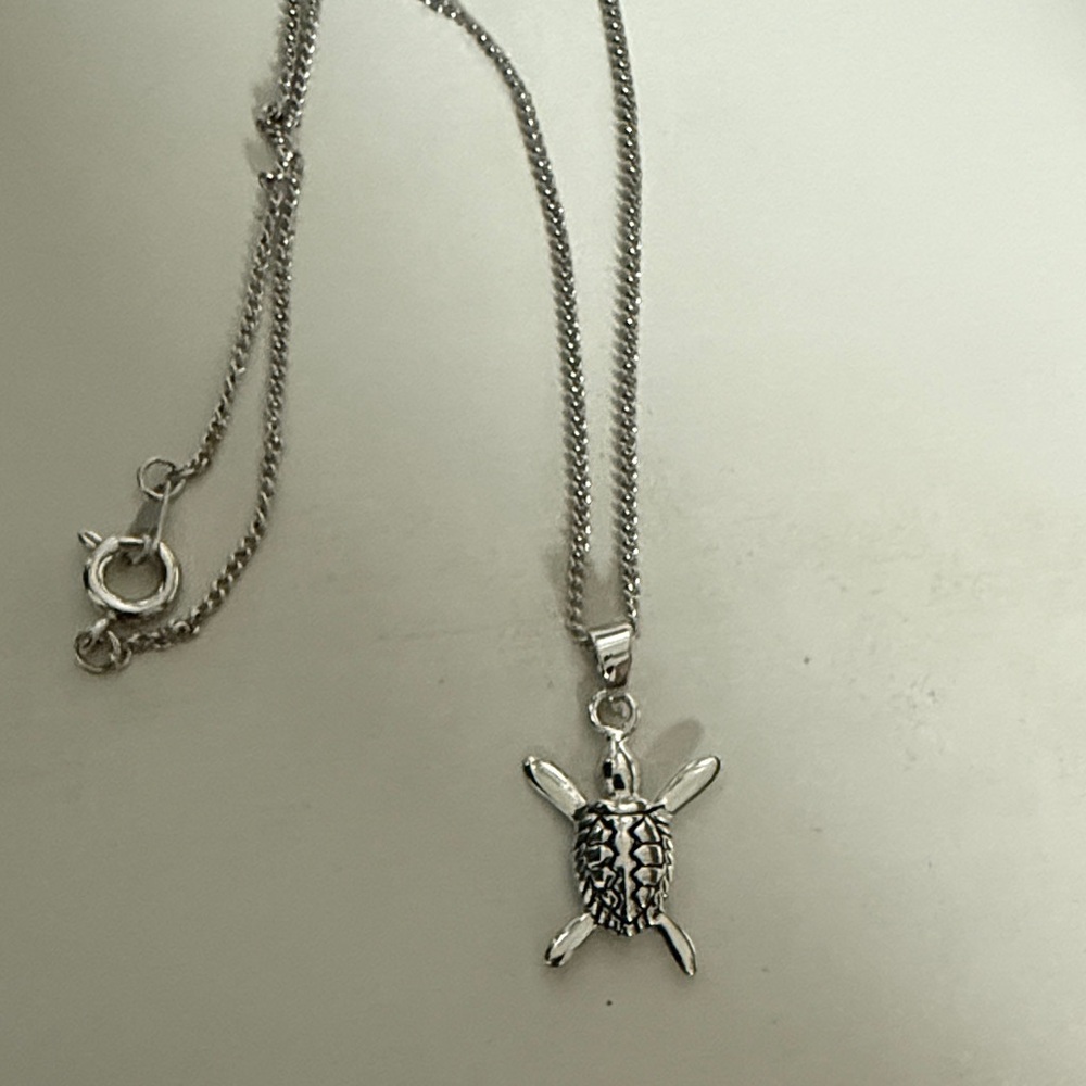 Silver Turtle Pendant Necklace
